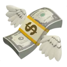 :money_with_wings: